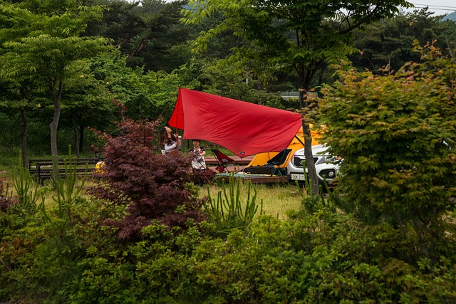 location mobil home en Vendée en camping